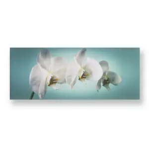 Teal Orchid Printed Canvas Floral Wall Art