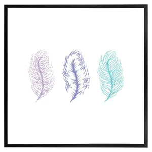 Feathers (Picutre Frame) / 16x16" / Black