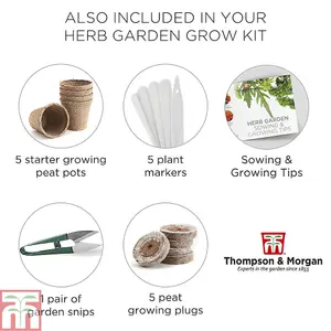 Seed Growing  Kit - Herb Garden