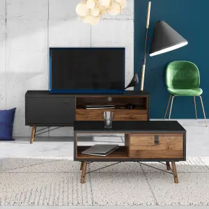 Ry TV-unit 1 door + 1 drawer in Matt Black Walnut