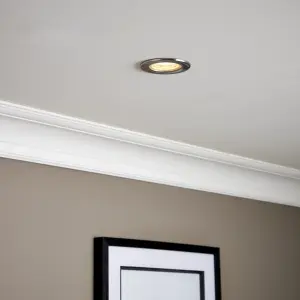 GuardECO Nickel effect Non-adjustable LED Warm white Downlight 6W IP65