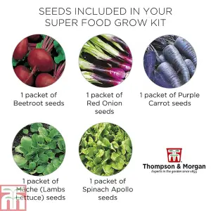 Seed Growing Kit - Super Foods