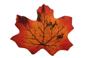 Best Artificial Loose Autumn Halloween Maple Leaves for Crafts Decoration - M6