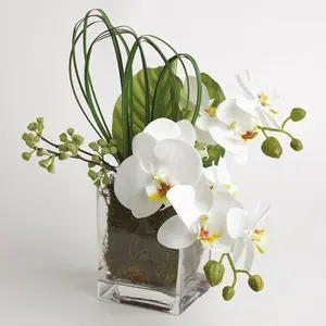 Bloom Artificial Large Orchid Plant in Glass Pot - Faux Fake Realistic Houseplant Floral Home Decoration - H32cm x W29cm