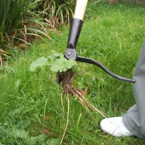 Greena Eze Weeder - Stand-Up Weeder