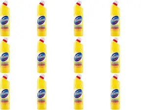 Domestos Citrus Bleach 750ml (P) (Pack of 12)