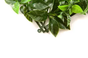 Pack of 12 Best Artificial Laurel Leaf Hedging 50cm x 50cm Mats (3 Square Metres)