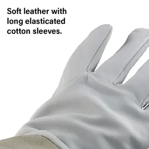 Small Beekeepers Bee Gloves Quality Leather New Beekeeping