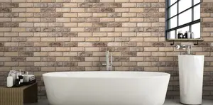 Ibstock New Ivanhoe Cream Brick 65mm Mini Pack 250