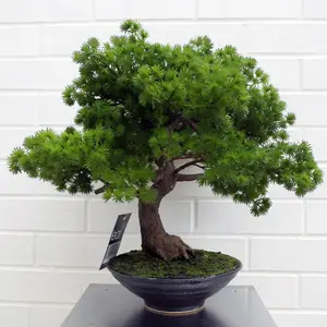 50cm Artificial Luxury Pine Bonsai Tree