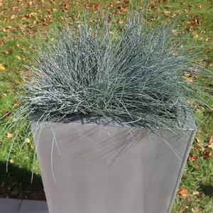 75cm Zinc Galvanised Brushed Silver Tall Square Planter