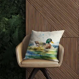 Splashing Mallard Watercolour Outdoor Cushion 60cm x 60cm