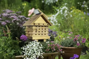 Wildlife World Interactive Solitary Bee Hive