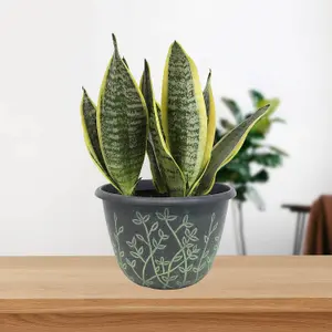 25cm Pot Serenity Planter Black With Green Wash Effect Plant Flower Garden Patio