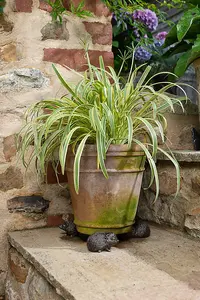 Hedgehog Plant Pot Feet - Set of 3 - L8 x W7 x H4.5 cm