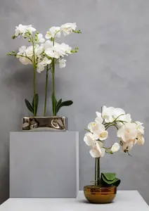 Fiori White Orchid Plant in Rectangular Pot Artificial Plant Foliage