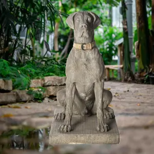 Giant Life-size Hunting Dog Great Dane Statue - classic finish