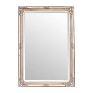 Andrews Flat Wall Mirror Champagne / 50cm x 60cm W