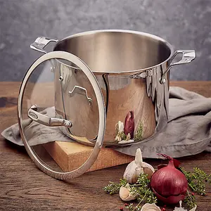 Stellar Steamers 24cm Stockpot 6L