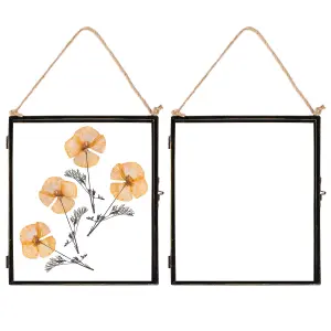 Nicola Spring - Hanging Metal Photo Frames - 8" x 10" - Pack of 2