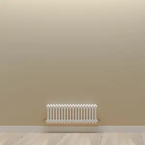 Horizontal White Double Column Radiator (H) 300mm x (W) 830mm, 1895 BTU.