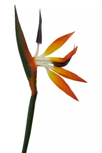 Fiori 92cm Bird Of Paradise Artificial Plant Foliage