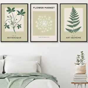 Set of 3 Framed Vintage Graphical Green Botanical / 50x70cm / Black