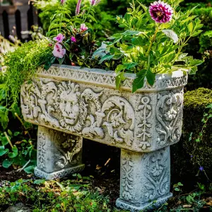 Lion design Stone Troughs on legs