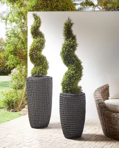 Set of 2 Plant Pots CEDRUS PE Rattan Black