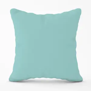 Robin Egg Blue Cushions 60cm x 60cm