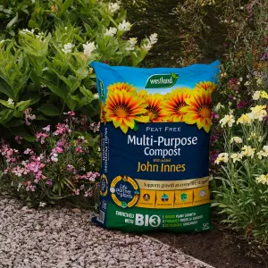 Westland John Innes Compost 50L Bag