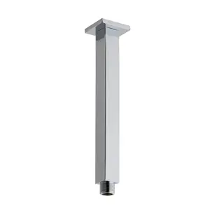 Ceiling Shower Arm