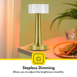 Rechargeable Table Lamp Portable with Touch Sensor 3 Stepless Dimming Pack of 2 Assorted