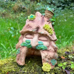 Frog Toad House wildlife shelter, face in tree stump design with frog decoration, novelty frog or wildlife lover gift