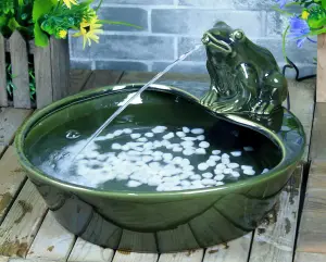 Primrose Green Frog Solar Ceramic Dish Outdoor Indoor Use Water Feature 35cm