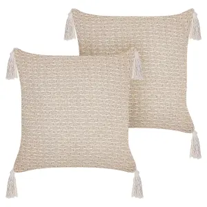 Set of 2 Cushions HAKONE 42 x 42 cm Geometric Light Beige