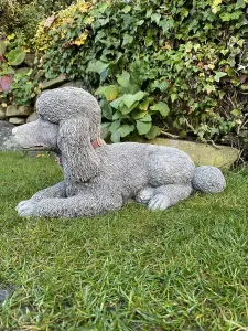 Stunning Stone Cast Laying Poodle Statue