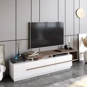 Decorotika Pia TV Stand TV Unit for Tvs up to 60 inch