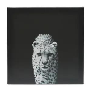 Animals Black & white Canvas art, Set of 3 (H)30cm x (W)90cm