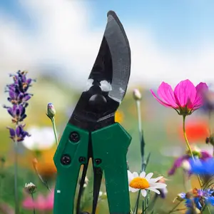 Deluxe Bypass Pruning Shears - Roots & Shoots