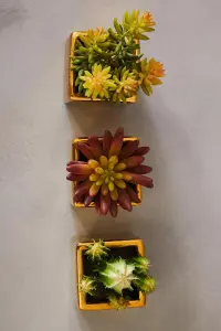 Mini Succulents Fiori with Gold Pot - Set of 3 Artificial Plant Foliage