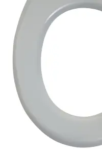 Maison by Premier Brooks Matte Grey Toilet Seat