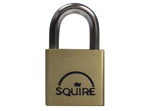 Squire LN3 Lion Brass Padlock 30mm