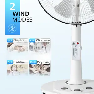 Senelux 14 Inch Extendable Pedestal Fan White