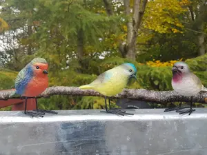 Set of 3 Small Bird Figurines for the Garden - Colourful Wildlife Garden Decorative Ornaments