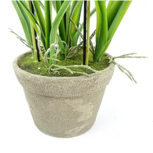 105cm Oncidium Orchid Yellow in Stoneware Planter