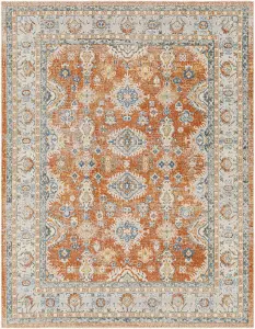 AVNI Machine Washable Vintage Area Rug 66 x 115 cm