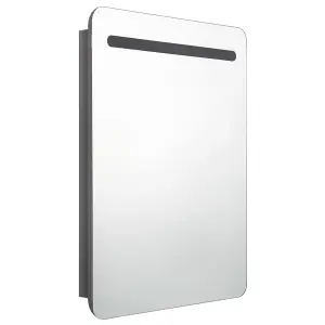 Berkfield LED Bathroom Mirror Cabinet Shining Grey 60x11x80 cm