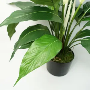 Artificial Peace Lily White Spathiphyllum