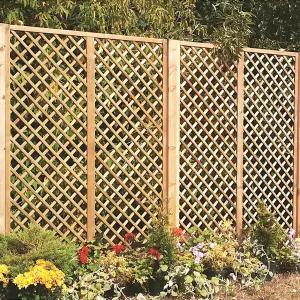 English Primrose Fan Outdoor Garden Privacy Screening Wall Trellis 1.83m x 0.3m